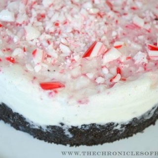 Chocolate-peppermint-ice-cream-cake-4