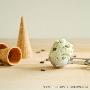 fresh-mint-chocolate-chip-ice-cream-2