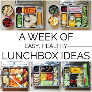 A Week of Easy, Healthy Lunchbox Ideas - The Chronicles of Home