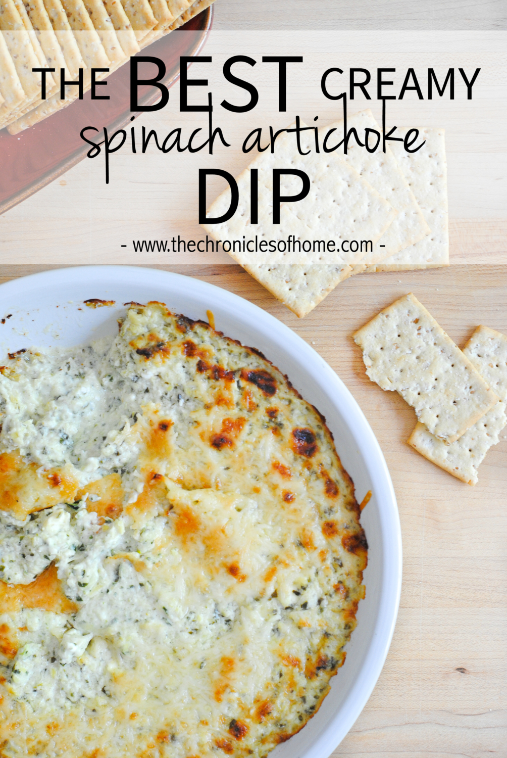 creamy spinach artichoke dip-4T