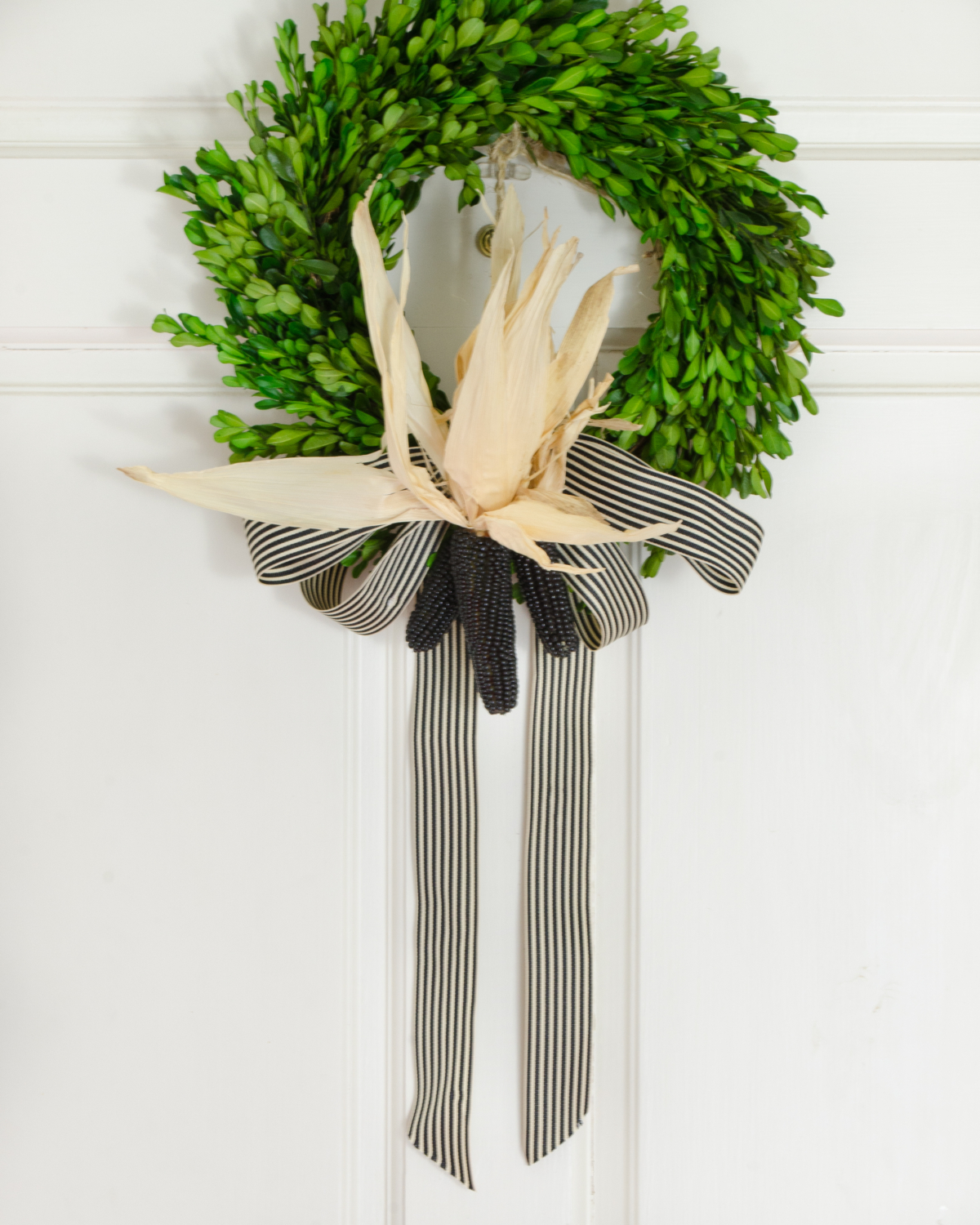 Easy fall or Halloween wreath with preserved boxwood and black spray painted corn