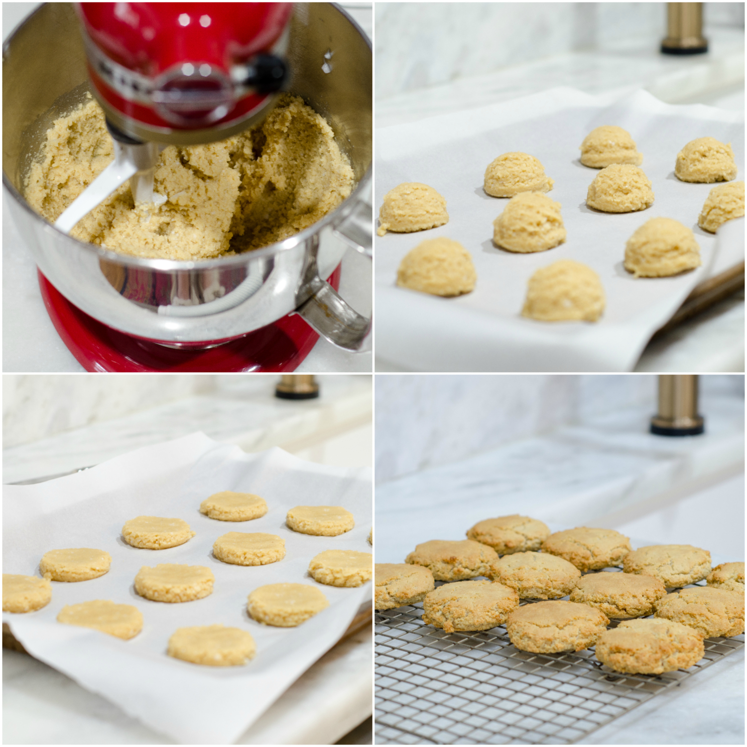 A paleo cookie recipe so delicious you'll forget you're eating healthy! Almond, coconut, and chocolate cookies for those looking for a healthy cookie recipe or just a little something sweet and tasty!